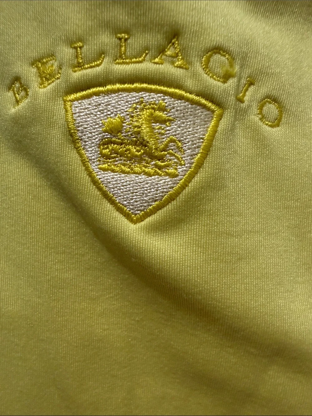 Polo by Ralph Lauren Men's High-Visibility Yellow Half-Zip Pullover